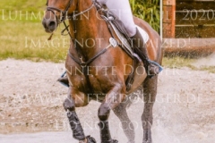 Donna Fiderella Jeannine Elisa Marie ZOEBELEIN