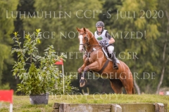 Ginger Gold Julika SCHENKMANN