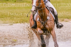 Ginger Gold Julika SCHENKMANN