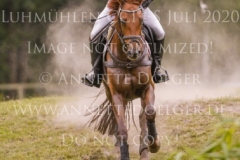 D'Artagnan 215 Justin FISCHER