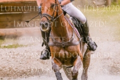 D'Artagnan 215 Justin FISCHER