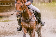 D'Artagnan 215 Justin FISCHER