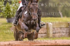 Fly In Time Frieda Betti HALLWIG