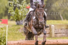 Fly In Time Frieda Betti HALLWIG