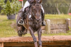 Fly In Time Frieda Betti HALLWIG