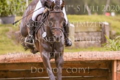 Fly In Time Frieda Betti HALLWIG