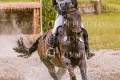 Fly In Time Frieda Betti HALLWIG