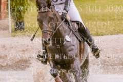 Fly In Time Frieda Betti HALLWIG