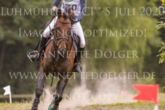 Duke's Delight Cathleen DOYEN-WALDECKER