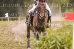 Duke's Delight Cathleen DOYEN-WALDECKER