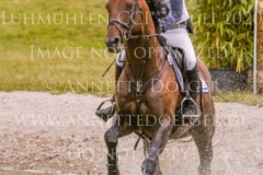 Duke's Delight Cathleen DOYEN-WALDECKER