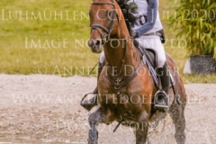 Duke's Delight Cathleen DOYEN-WALDECKER