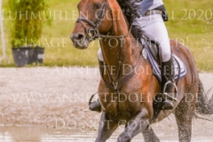 Duke's Delight Cathleen DOYEN-WALDECKER