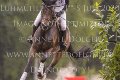 Coromandel du Moulin Philine GANDERS MEYER