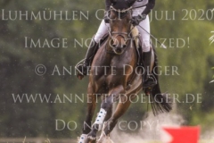 Coromandel du Moulin Philine GANDERS MEYER