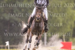 Coromandel du Moulin Philine GANDERS MEYER