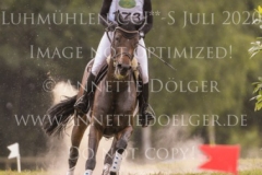 Coromandel du Moulin Philine GANDERS MEYER