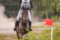 Coromandel du Moulin Philine GANDERS MEYER