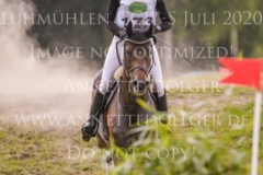 Coromandel du Moulin Philine GANDERS MEYER