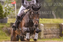 Coromandel du Moulin Philine GANDERS MEYER