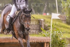 Coromandel du Moulin Philine GANDERS MEYER