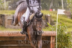 Coromandel du Moulin Philine GANDERS MEYER