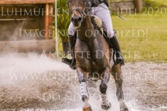 Coromandel du Moulin Philine GANDERS MEYER