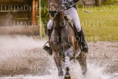 Coromandel du Moulin Philine GANDERS MEYER