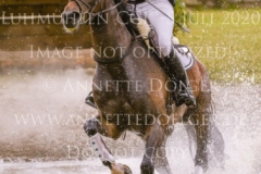 Coromandel du Moulin Philine GANDERS MEYER