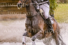 Coromandel du Moulin Philine GANDERS MEYER