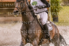 Coromandel du Moulin Philine GANDERS MEYER