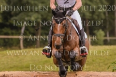 Queeny 88 Nicolai ALDINGER