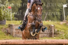 Christmas Carol de Merignat Sara ALGOTSSON OSTHOLT