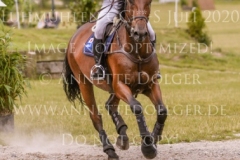 The Duke Of Cavan Yoshiaki OIWA