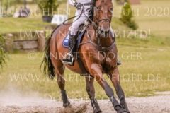 The Duke Of Cavan Yoshiaki OIWA