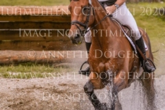 Pinvigs Gambler Poul Erik GADE