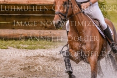 Pinvigs Gambler Poul Erik GADE