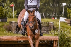 Top Job's Jalisco Elmar LESCH