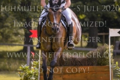 Harrys Guy Nicolai ALDINGER