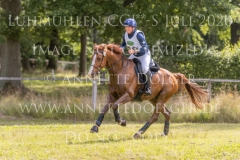 Amequ Torino (Rawa's Torino) Hanne Wind RAMSGAARD