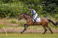 Van Helsing 20 Lilly HEUER