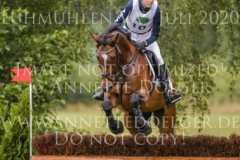 Van Helsing 20 Lilly HEUER