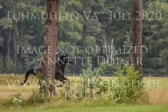 Boston 54 Jana MENNINGEN