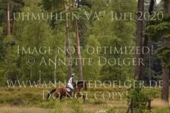 Volturi 3 Maicke BLEUZE