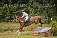 Wellwishes Dawn MOSIER