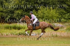 Wellwishes Dawn MOSIER