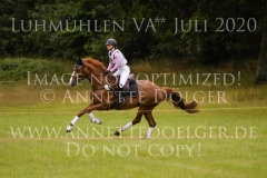 Wellwishes Dawn MOSIER