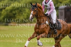 Wellwishes Dawn MOSIER