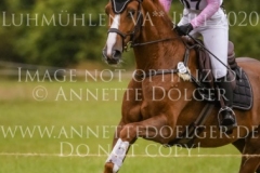 Wellwishes Dawn MOSIER