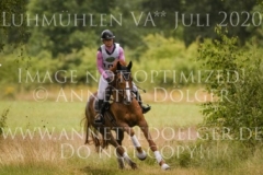 Wellwishes Dawn MOSIER